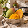 Mango Tree Valencia Pride Variety Grafted