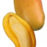Valencia Pride Mango Fruit