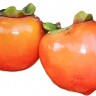 Tanenashi Persimmon Fruit