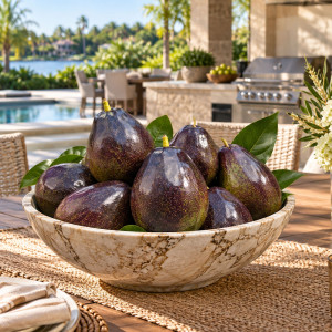 Avocado Tree Brogdon Variety Grafted