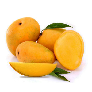 7-8”Height Alphonso Mango Plạnt