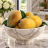 Mango Tree Kesar Indian Collectors Variety Grafted Mango Tree Kesar Indian Collectors Variety Grafted