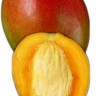 Zill Mango Fruit