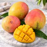 Mango Tree Bailey's Marvel Variety Grafted 