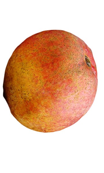 Bailey's Marvel Fruit