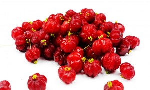 Surinam Cherry Red Variety Tree