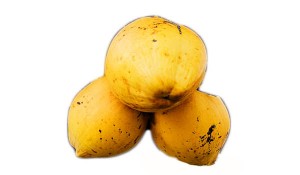 yellow coconut fruit