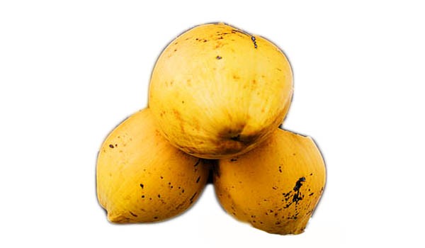 yellow coconut fruit yellow coconut fruit