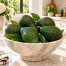 Avocado Tree Florida Haas Variety Grafted Avocado Tree Florida Haas Variety Grafted