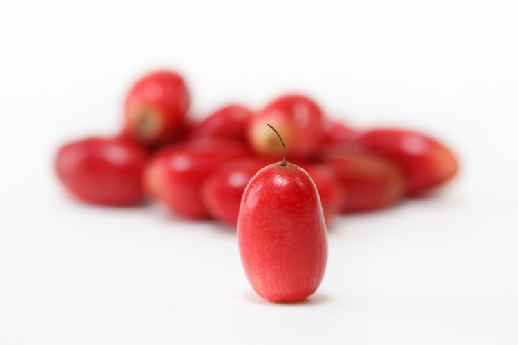 Miracle Fruit Miracle Fruit