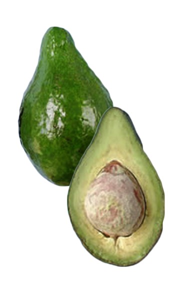 Lula Avocado Fruit
