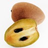 Sapodilla fruit