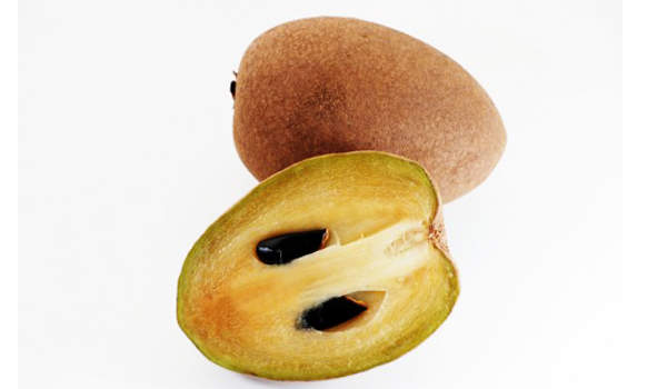 Grafted Sapodilla Fruit Tree