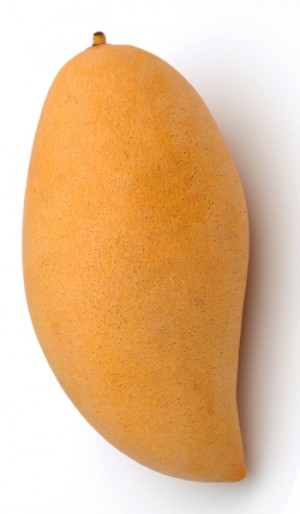 Lancetilla Mango 
