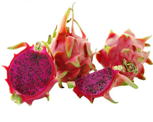 Dragon Fruit Plant Red Variety