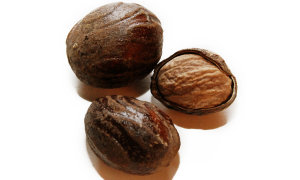 Nutmeg Spice Tree