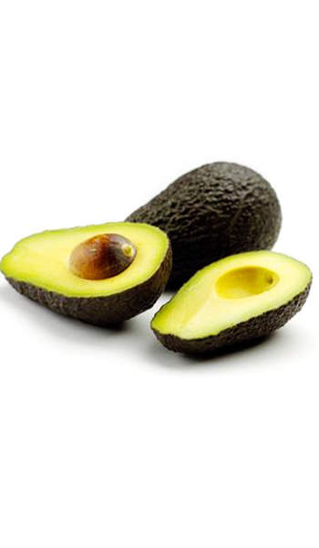 Avocado Tree Winter Mexican Variety Grafted Access highly reliable, and proficient avocado price in india at alibaba.com for all types of oil extraction processes. usd