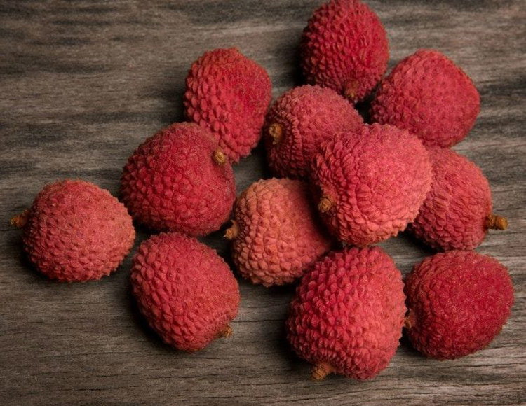 Lychee Tree Emperor Dwarf Variety Air-Layered Lychee Tree Emperor Dwarf Variety Air-Layered