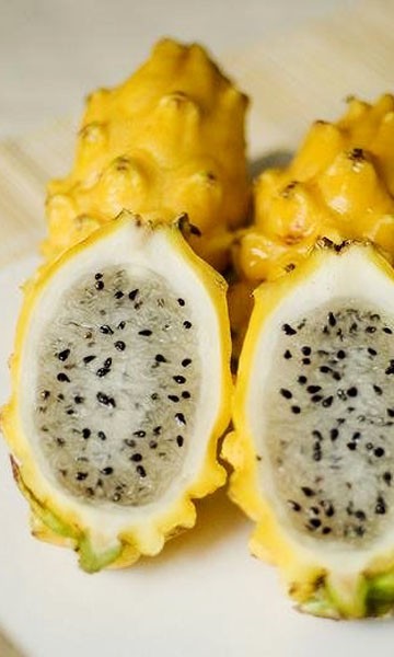 Yellow Dragon Fruit Yellow Dragon Fruit