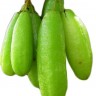 Bilimbi Fruit