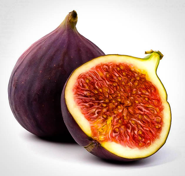 Brown Turkey Fig Brown Turkey Fig