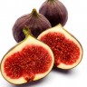 Brown Turkey Fig Fruit