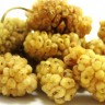 White Mulberry Fruit