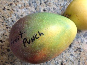 Fruit Punch Mango Fruit