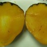 Juicy Peach Mango Fruit
