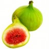 Green Ischia Fig Fruit