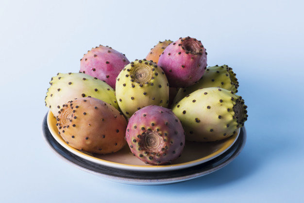 Prickly Pear/Tuna Plant Prickly Pear/Tuna Plant