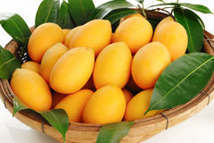 Maprang Tree Rare Collectors Plant Maprang Tree Rare Collectors Plant