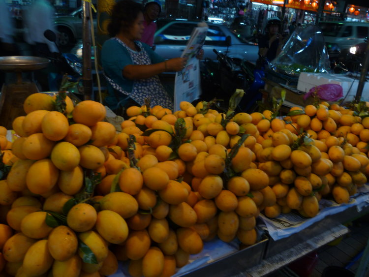 Maprang Tree Rare Collectors Plant Maprang Tree Rare Collectors Plant