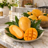 Mango Tree Mallika Semi-Dwarf Variety Grafted