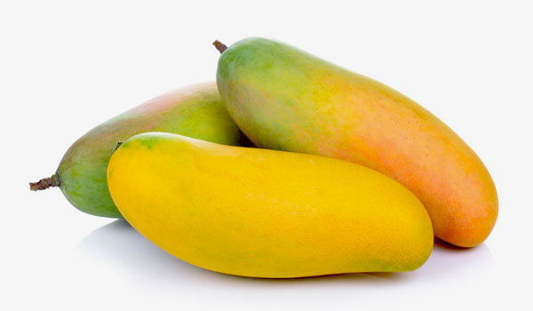 Maha Chanook Mango Maha Chanook Mango