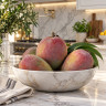 Mango Tree Lancetilla  Semi-Dwarf Variety Grafted