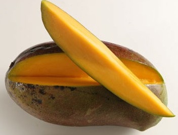 lancetillamango1.jpg lancetillamango1.jpg