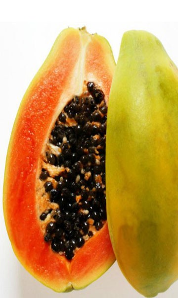 Red Papaya 25 Seeds Rare Dwarf Papaya Fruit Plants Outdoor Sweet Delicious Fruit 