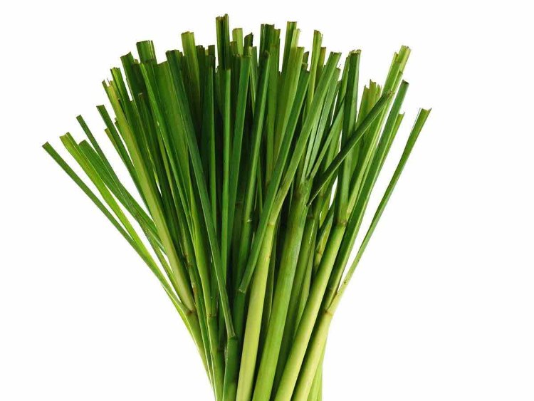 Lemon Grass