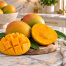 Mango Tree Alphonso Variety Grafted Mango Tree Alphonso Variety Grafted